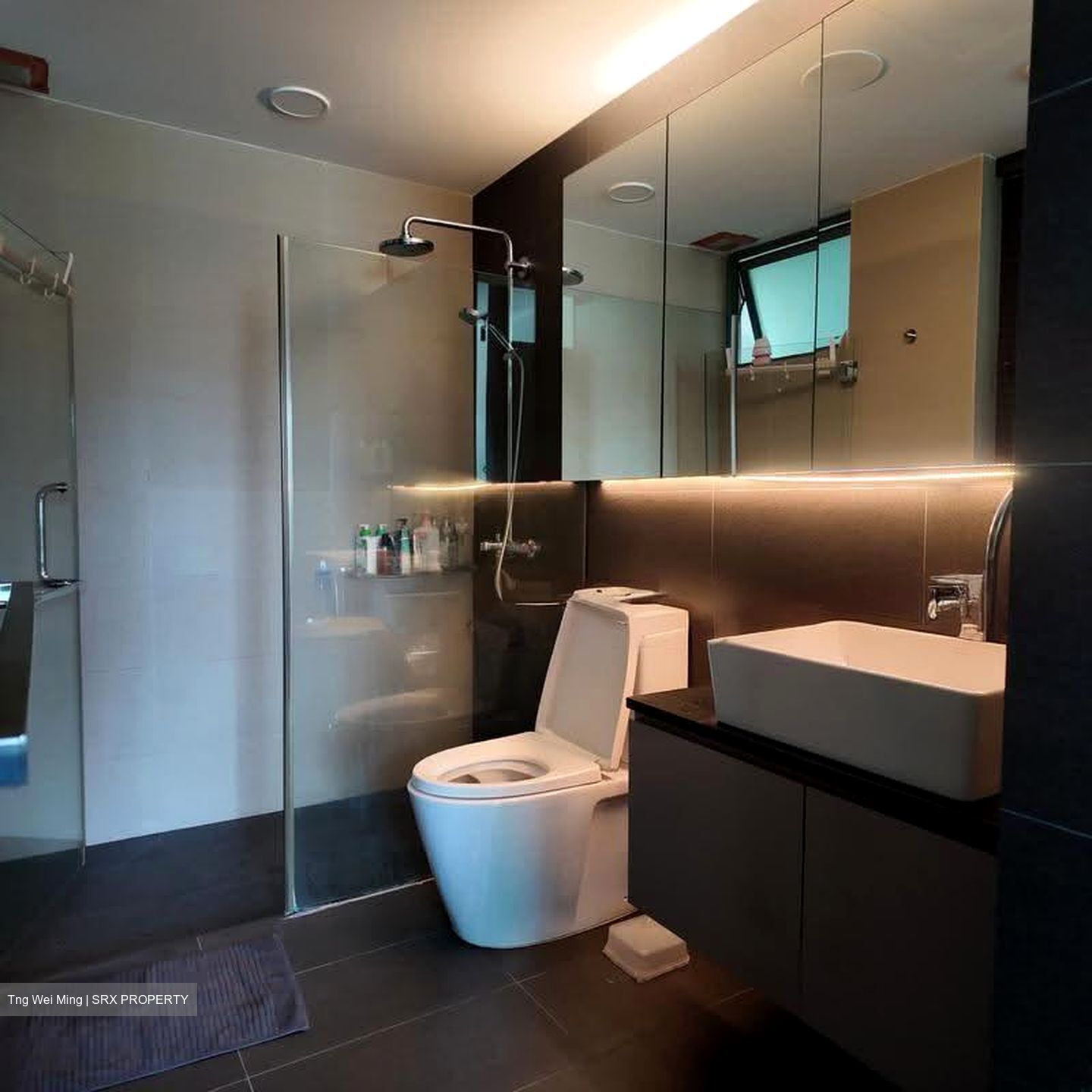 Stratford Court (D16), Condominium #623384041